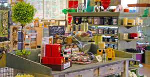 christmas tree shop hyannis IZTo